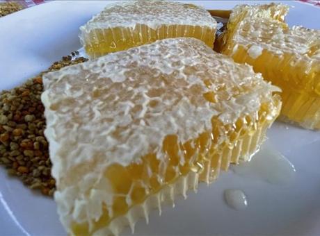 AB'den coğrafi tescil alan Yenice ıhlamur balı markalaşma yolunda ilerleyecek