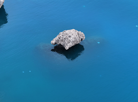 Antalya kıyılarında sürüler halinde ortaya çıktı! Vatandaşlara 'uzak durun' uyarısı