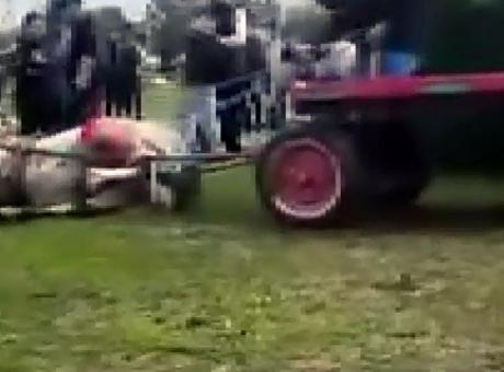 At koşmadığı için sopayla dövüp bayıltmışlardı! Şüpheliler hakkında karar