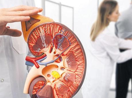 Böbrek sağlığını korumak için 8 altın kural