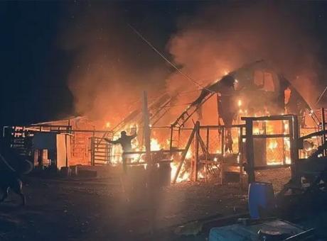 Bursa'daki çiftlikte feci yangın! 580 hayvan öldü