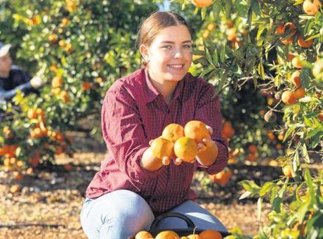 Çiftçi sayısı beş yılda 190 bin arttı