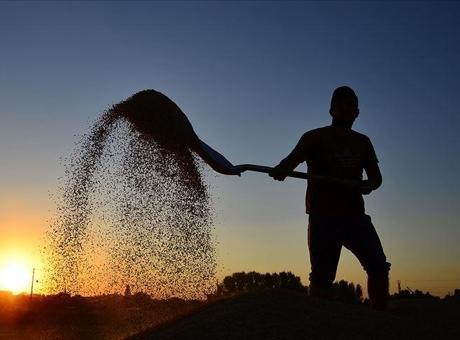 Çiftçilere 10,7 milyar liralık tarımsal destekleme ödemesi bugün yapılacak