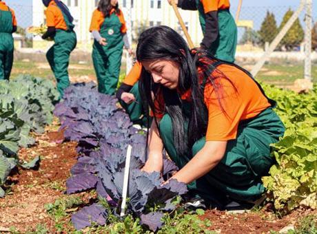 Çukurova’da geleceğin ziraatçileri tarım lisesinde yetişiyor