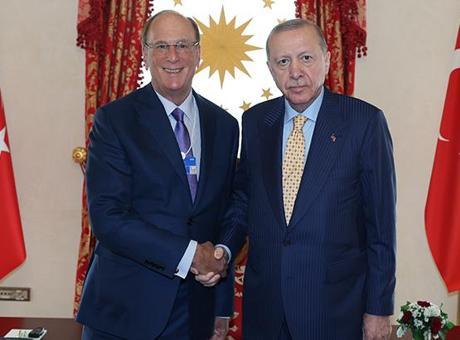Cumhurbaşkanı Erdoğan, Dünya Ekonomik Forumu Başkanı Laurence D. Fink'i kabul etti
