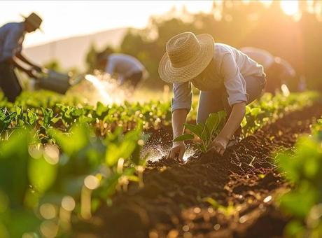 Gübre ham maddesi üre için ithalatta gümrük vergisi sıfırlandı