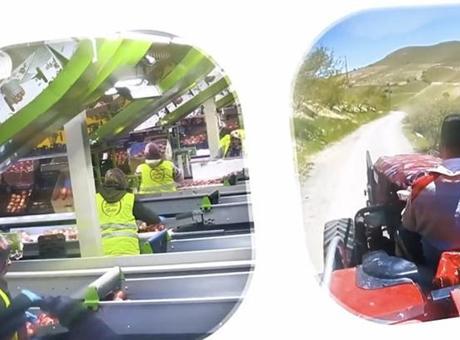 IPARD III Programı 2026 yılı çağrı takvimi yayımlandı