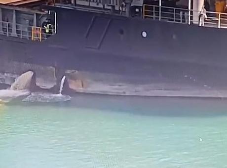 Mersin’de denizi kirleten gemiye 13 milyon 187 bin 913 TL ceza!