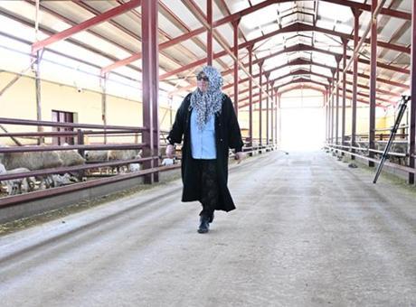 Muhasebeciliği bırakıp memleketine döndü! Hibe desteği ile hayali gerçek oldu: 'En güzel şey çalışmak'