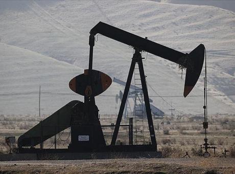 OPEC'in günlük ham petrol üretimi 164 bin varil arttı