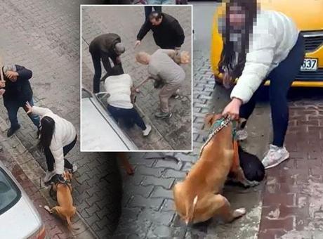 Pitbull dehşeti sonrası yeni görüntüler! Köpek sahibi müdahaleye engel oldu