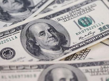 Reel efektif döviz kuru endeksi 103,17 oldu