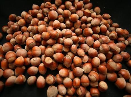 Trabzon'un fındık ihracatı 60,6 milyon doları aştı