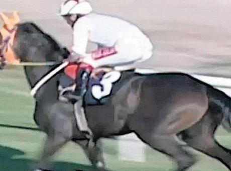 ‘Tüketici ayırt edemez’