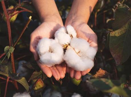 ‘Türkiye küresel ölçekte stratejik merkez olur’