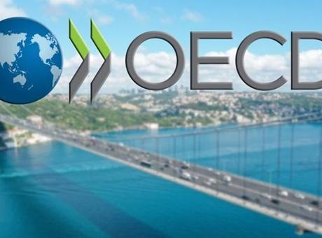 Türkiye, OECD'nin en hızlı büyüyen 3'üncü ekonomisi oldu