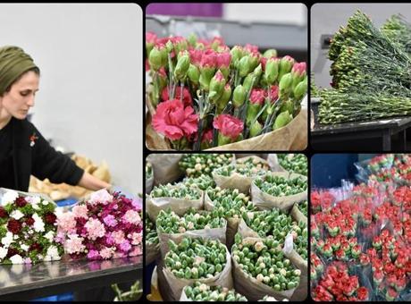 Türkiye'den Dünya Kadınlar Günü için 35 ülkeye 80 milyon dal çiçek