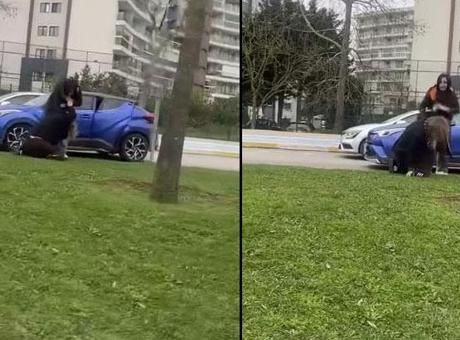 Yer: Pendik! 'Ejderha Kadınlar'ın kavgası sosyal medyada olay oldu