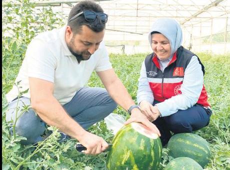 Sezonun ilk karpuzları tezgahta