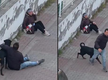 Ümraniye’de Rottweiler dehşeti! Ağızlıksız köpek, küçük ırk köpeğe saldırdı, sahibi yakalandı