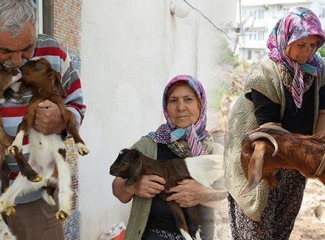 Yardım ettiği komşusu şikayet etti! Bütün mahalleyi yakan karar: Bir senelik emeği boşuna gitti
