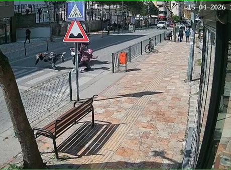 Zonguldak’ta korkunç kaza! Anne ve bebeği karşıya geçmeye çalışırken dehşeti yaşadı: Motosiklet çarptı