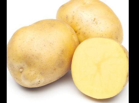 Avrupa’da patates şoku