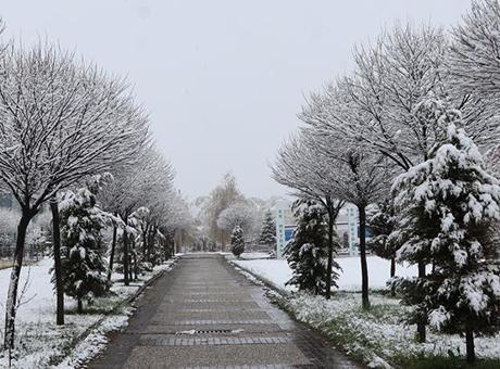 Fotoğraflar bugün çekildi! Mayıs ayında kar sürprizi... Kent merkezi bembeyaz
