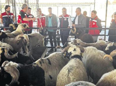 Kurban siz olmayın!