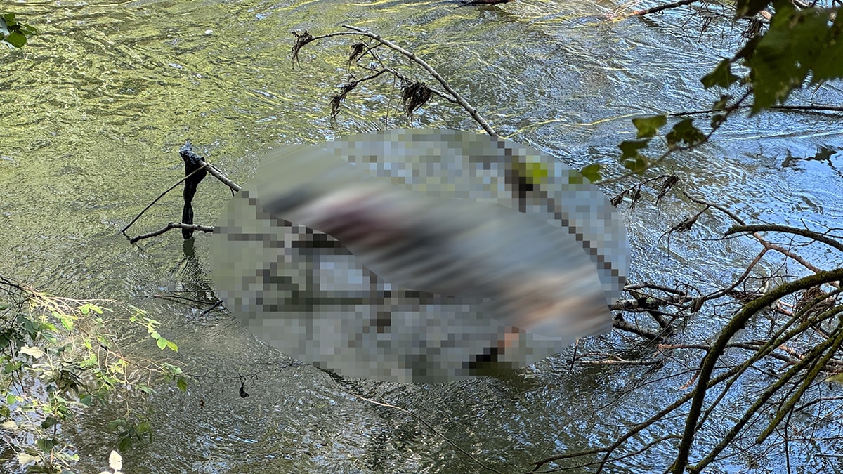 Edirne’de Nehir Kıyısında Gizemli Ceset Buluntuları